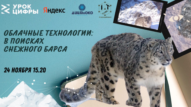 «Уроке цифры» от Яндекса.